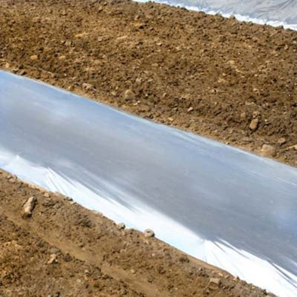 Metallic Plastic Mulch 4  x 600  on Sale - Image 2