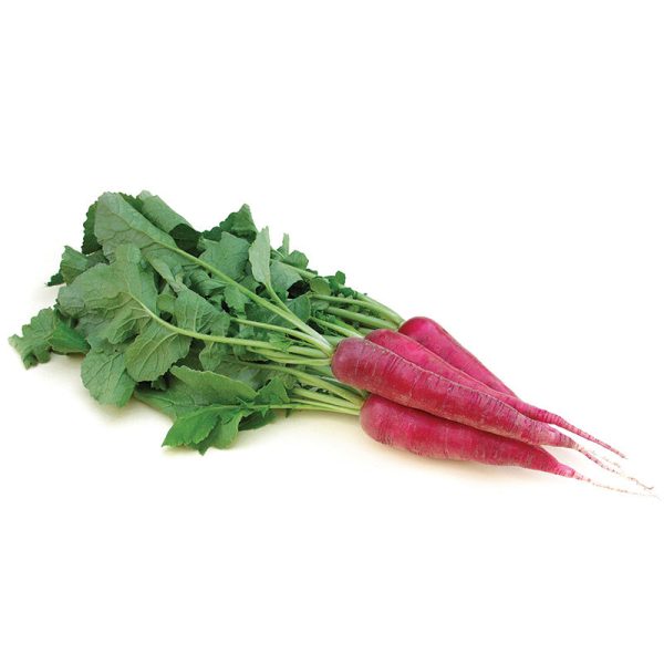 Radish Ostergrub Rosa Seed For Discount - Image 2