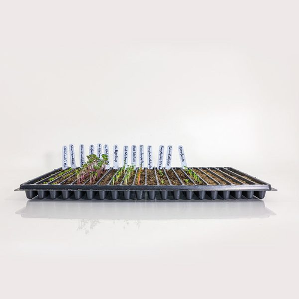 20 Row Germination Trays Discount - Image 2
