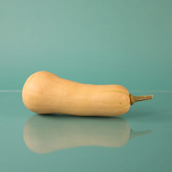 Squash Avalon F1 Seed Online Sale - Image 2