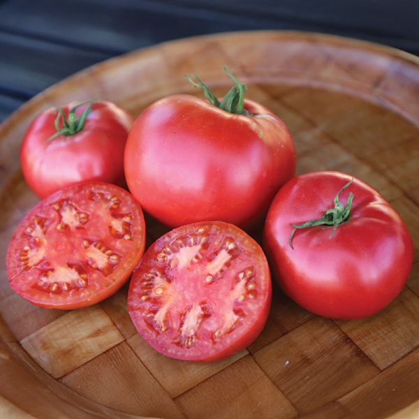 Tomato Damsel F1 Seed Online - Image 3