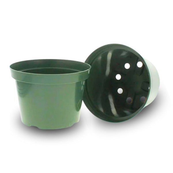 Azalea Pot 4  For Sale
