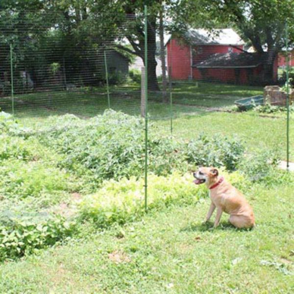 DIY Deer Fence Kit For Cheap - Image 2