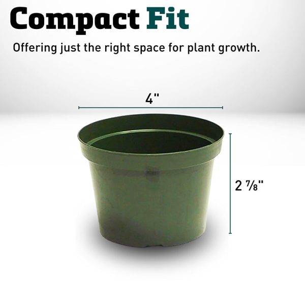 Azalea Pot 4  For Sale - Image 2
