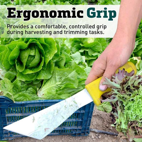 Stainless Steel Lettuce Knife with Yellow Handle on Sale - Image 4