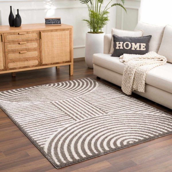 Allard Charcoal  Washable Area Rug Online Sale - Image 3