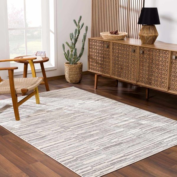 Alexey Gray Broken-Striped Area Rug Discount - Image 3